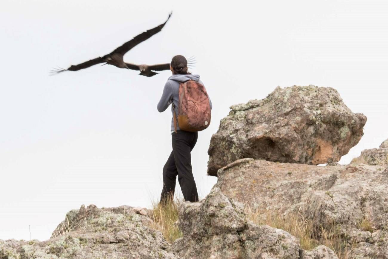 Parque Nacional Quebrada del Condorito.