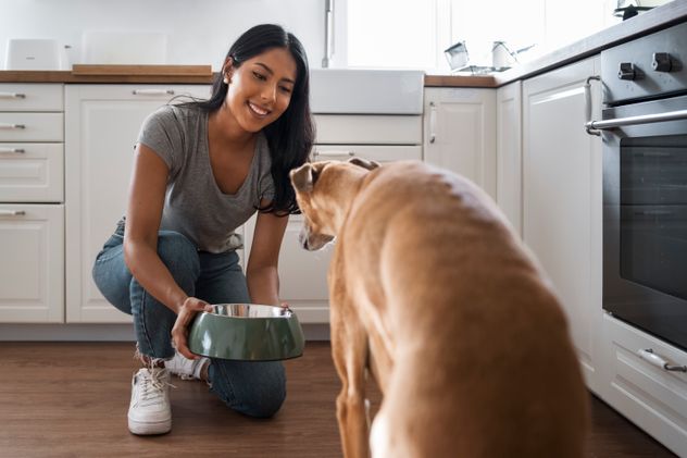 Cómo preparar caldo de huesos para los perros y cuáles son todos los beneficios.