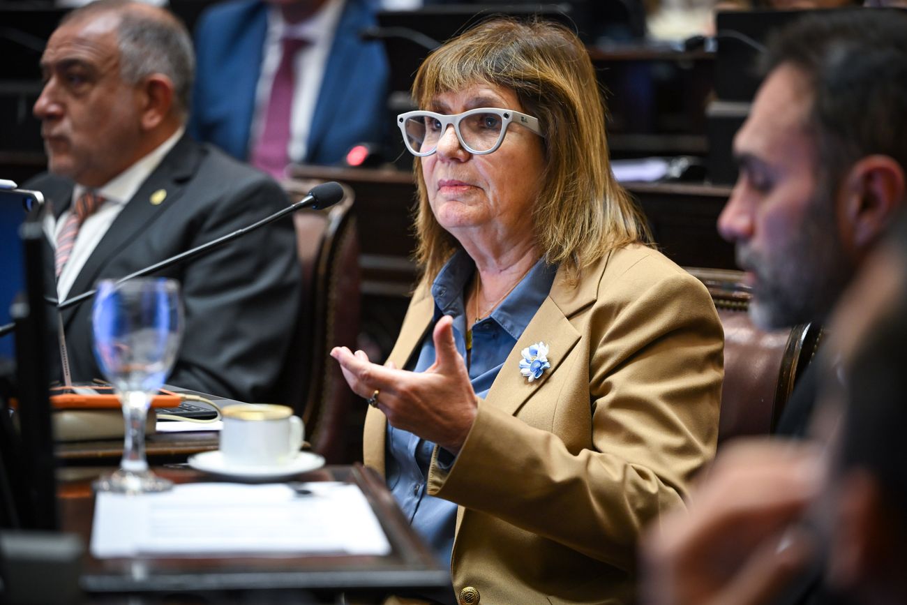 Patricia Bullrich, jefa del bloque de senadores de La Libertad Avanza