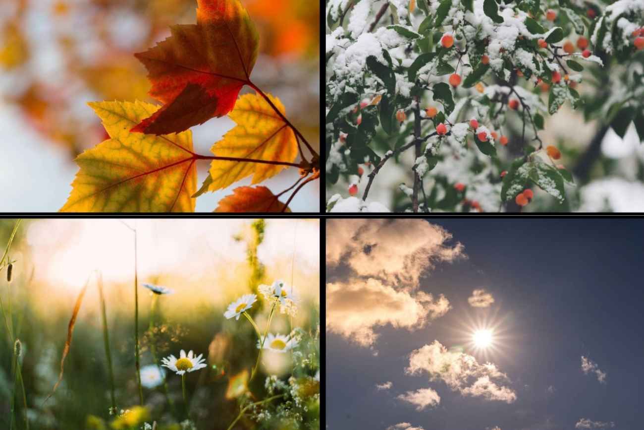 Las cuatro estaciones del año: otoño, invierno, primavera y verano. 