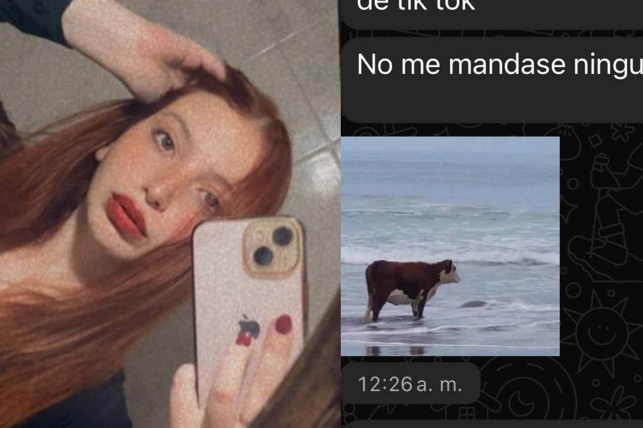 "Ya no soy relevante": se olvidó de mandarle TikToks a su novio por un día y el reclamo se volvió viral