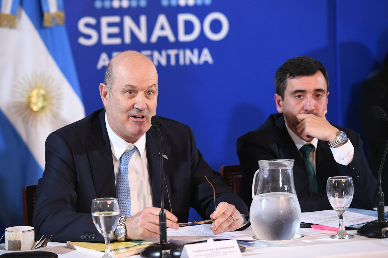 El ministro de Desregulación, Federico Sturzenegger, expuso en el Senado sobre la ley de defensa de la propiedad privada