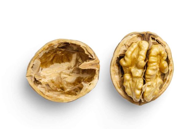 Las nueces son frutos secos altamente nutritivos, ricos en ácidos grasos omega-3, proteínas, fibra y antioxidantes, que mejoran la salud cardiovascular, cerebral y el estado de ánimo.