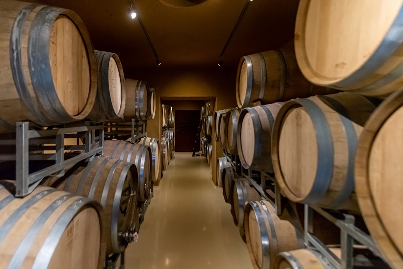 MEJORA SALARIAL. Se aumenta un 3,5% para trabajadores en viñas y un 4,5% en bodegas. 