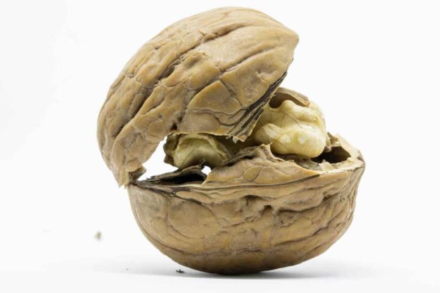 Las nueces son frutos secos altamente nutritivos, ricos en ácidos grasos omega-3, proteínas, fibra y antioxidantes, que mejoran la salud cardiovascular, cerebral y el estado de ánimo.