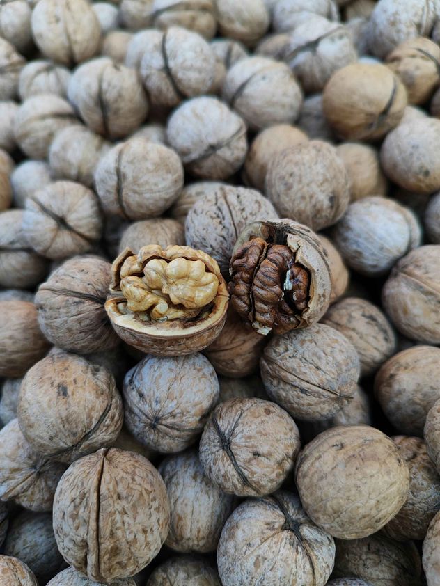 Las nueces son frutos secos altamente nutritivos, ricos en ácidos grasos omega-3, proteínas, fibra y antioxidantes, que mejoran la salud cardiovascular, cerebral y el estado de ánimo.