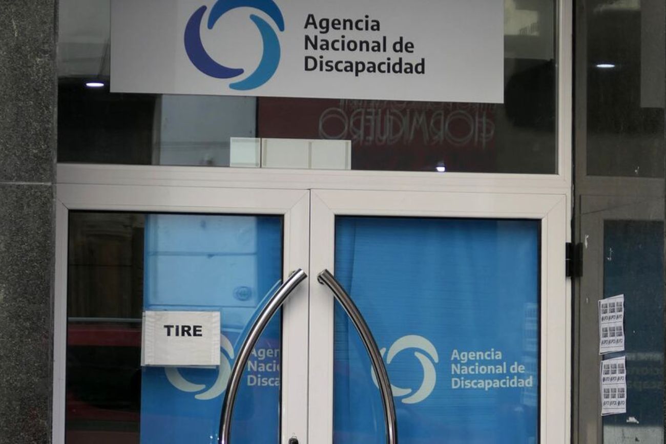  Agencia Nacional de Discapacidad (Andis)
