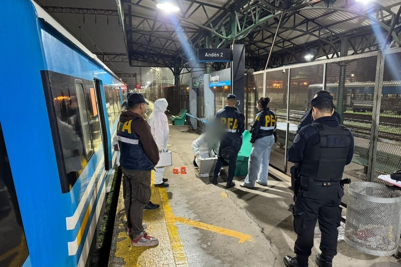Tensión en un vagón del tren Roca, en Buenos Aires. (PFA)
