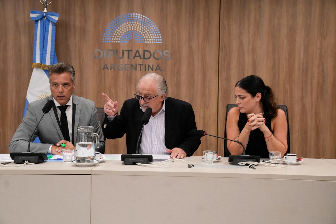 El diputado Hugo Yasky (centro) en la reunión constitutiva de la Comisión de Defensa del Consumidor 
