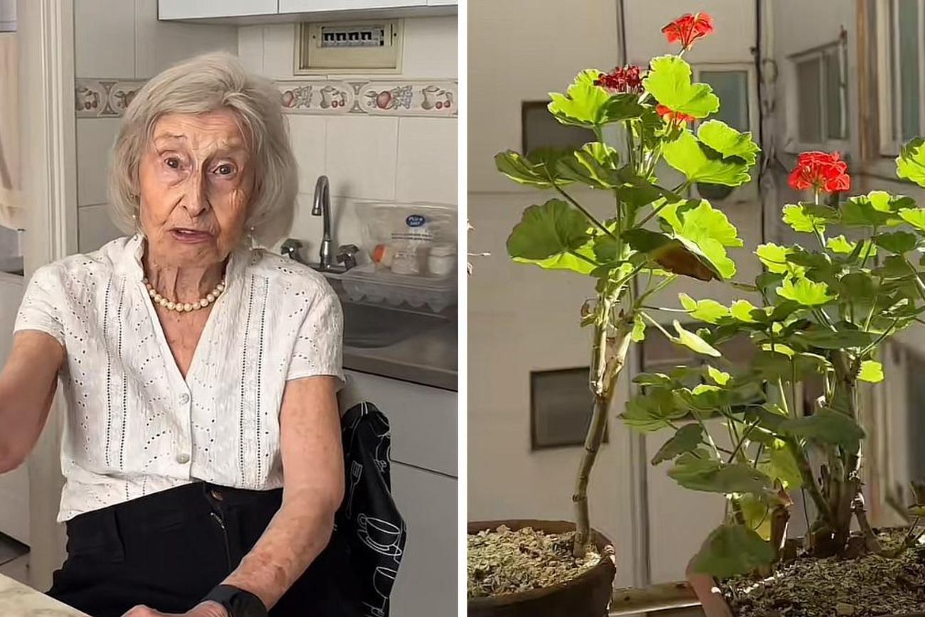 Con cáscaras de banana y agua, Mabel prepara un fertilizante natural que potencia el crecimiento de sus plantas.