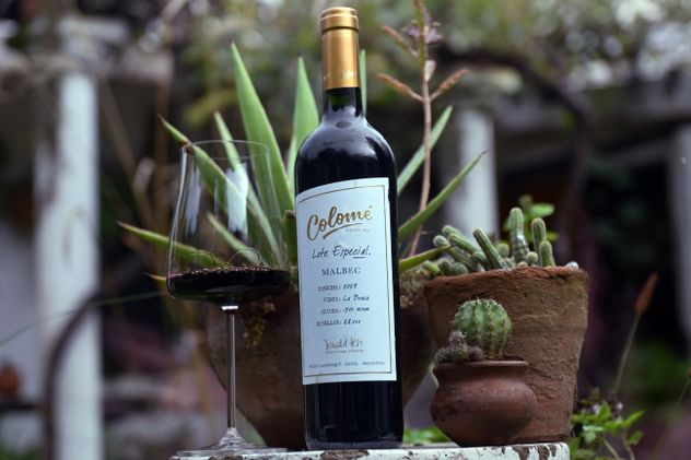 Día del malbec. En Argentina se festeja el 17 de abril el día de esta emblemática cepa. Colomé Lote especial malbec