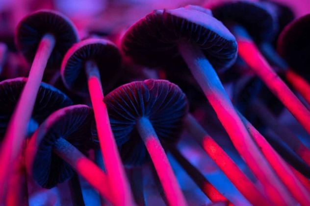 Los alimentos de otoño se caracterizan por ser reconfortantes y ricos en nutrientes para reforzar el sistema inmunológico ante el frío.