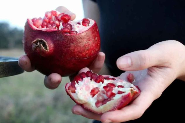 Los alimentos de otoño se caracterizan por ser reconfortantes y ricos en nutrientes para reforzar el sistema inmunológico ante el frío.