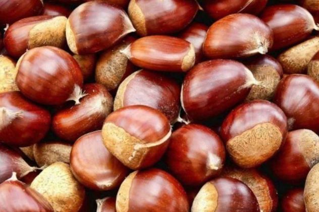 Los alimentos de otoño se caracterizan por ser reconfortantes y ricos en nutrientes para reforzar el sistema inmunológico ante el frío.