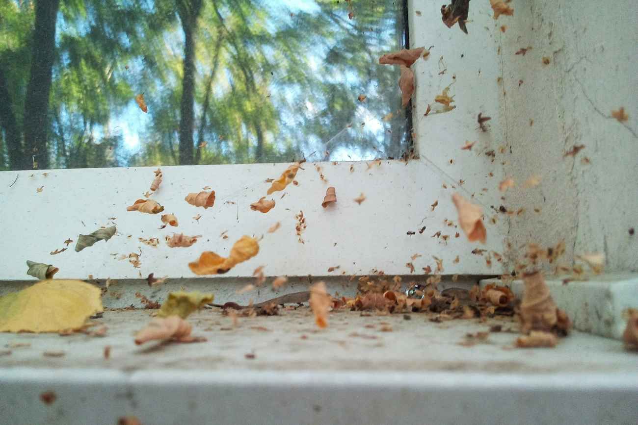 Un truco para limpiar los rieles de la ventana y decirle chau al polvo y la suciedad. 