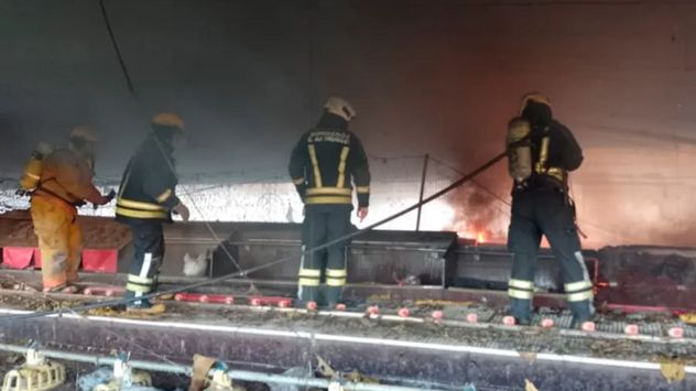 Incendio en galpón con gallinas: colapsó el techo y murieron cientos de aves.