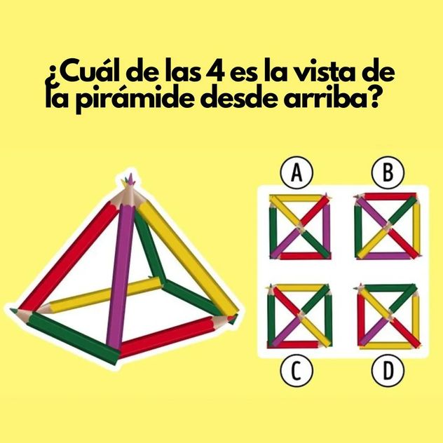 El acertijo visual.