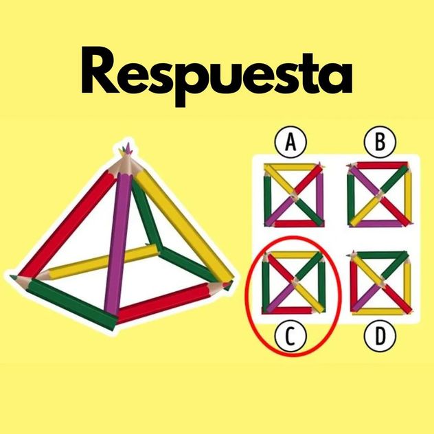 El acertijo visual.