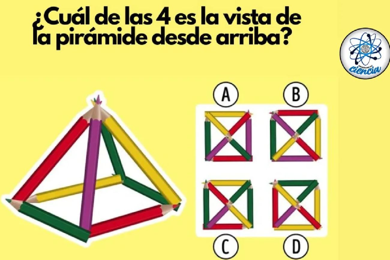 El acertijo visual.