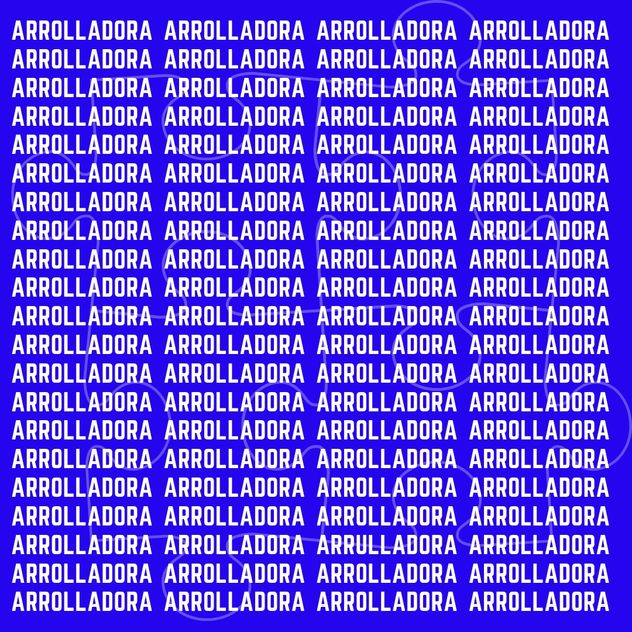 El acertijo visual.