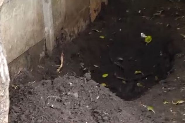 Un niño de 12 años halló el cuerpo de su madre enterrado en el patio de su casa: investigan al padre