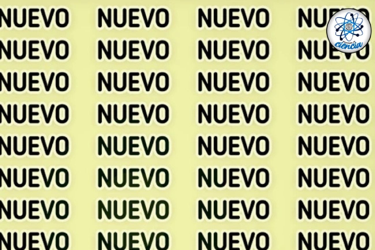 El acertijo visual.