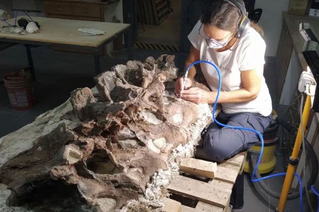 Chubut: descubrieron una nueva especie de dinosaurio que habitó la Patagonia hace 160 millones de años