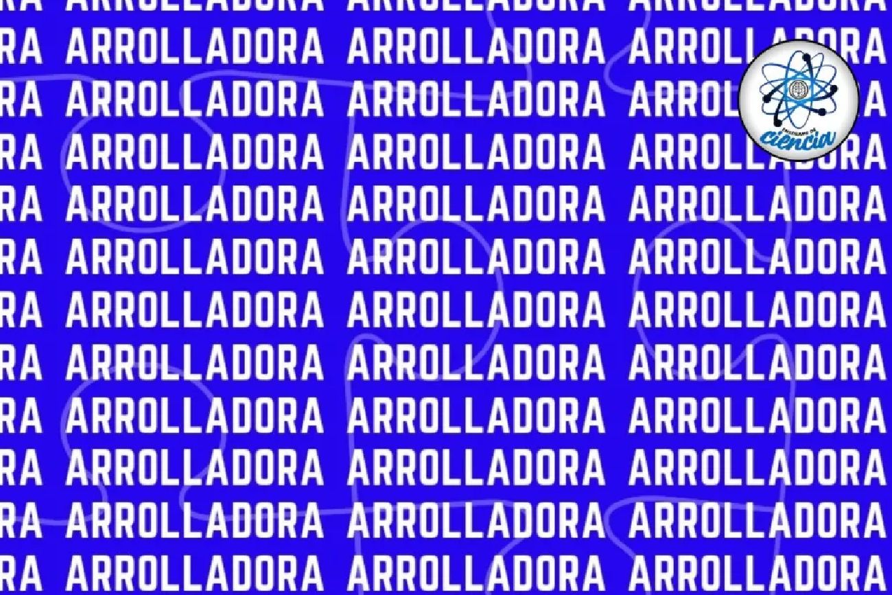 El acertijo visual.