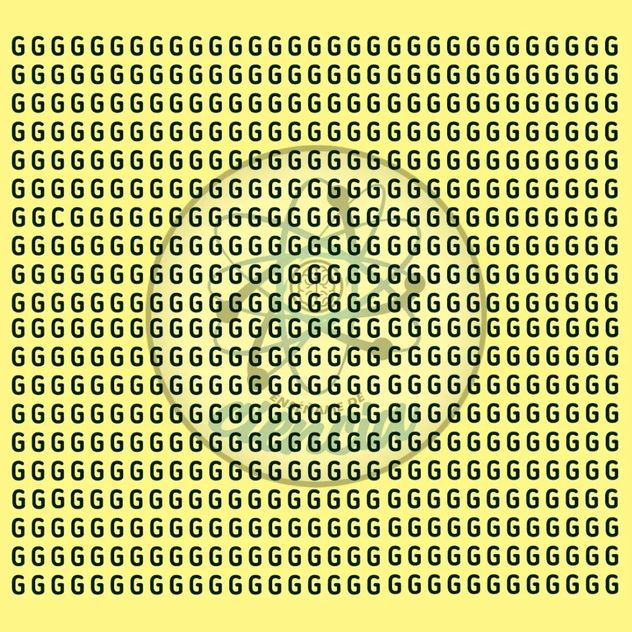 El acertijo visual.