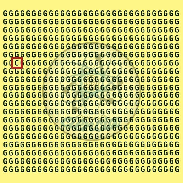 El acertijo visual.