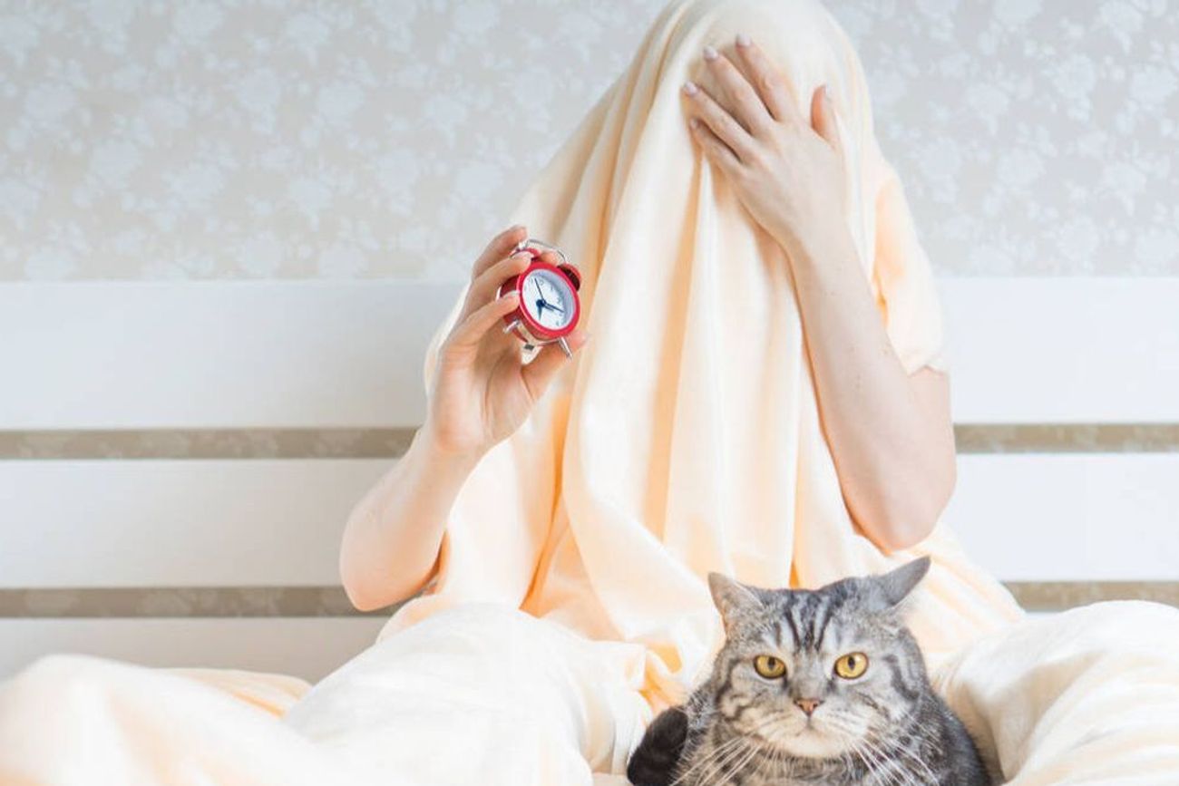 Los gatos son animales crepusculares, por eso suelen tener picos de actividad durante la madrugada y el amanecer.