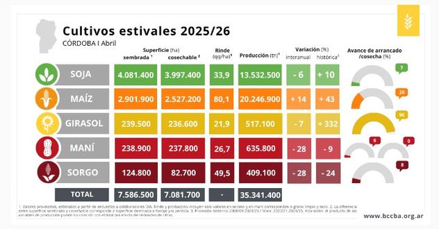 CULTIVOS ESTIVALES. Relevamiento del seis al 12 de abril. 