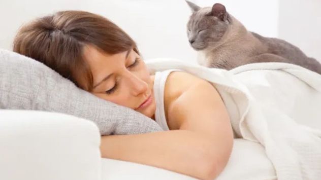 Cómo proteger a tu gato del frío: el mejor lugar para que duerma en invierno.
