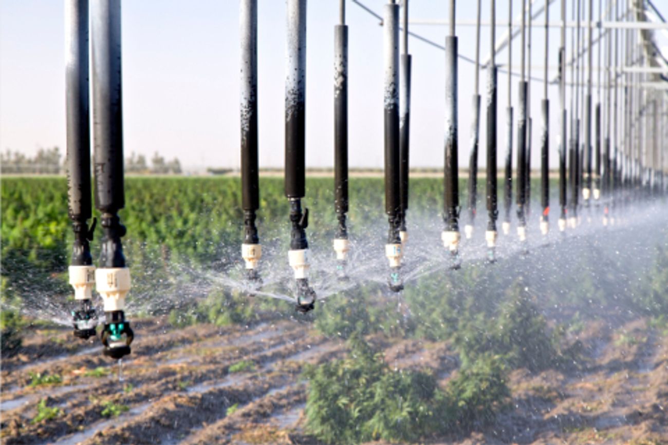 SISTEMAS DE RIEGO. los sistemas y equipos de riego agrícola que ingresan en el Rimi: pivotes centrales, sistemas de goteo, bombas sumergibles y centrífugas y compuertas.