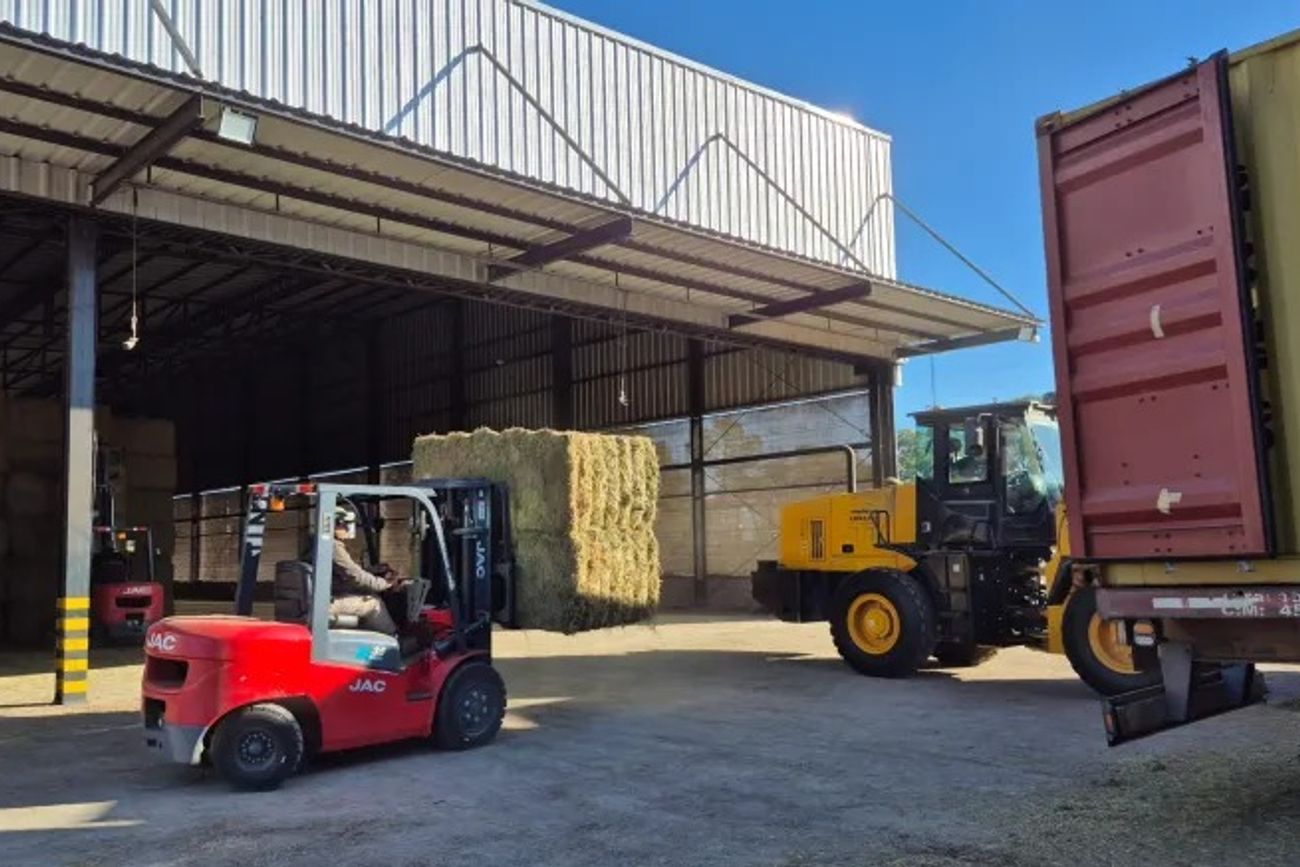 Cadaf exporta alfalfa desde la zona agropecuaria de San Francisco, en Córdoba. 