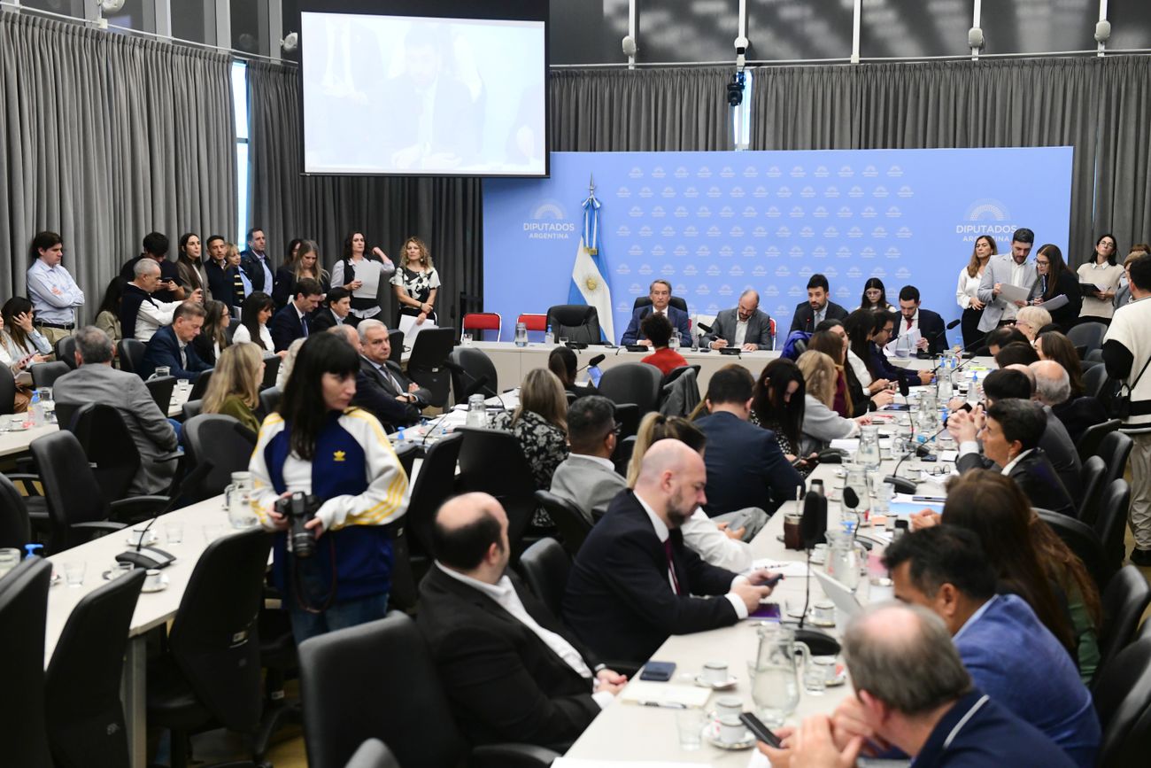 Debate de la Ley Hojarasca en la Cámara de Diputados