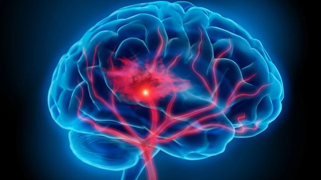 Qué pasa en el cerebro ante el miedo: la explicación científica que cambia todo.