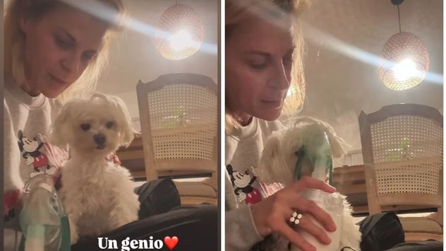 Eugenia Tobal compartió el tratamiento de su perro Romeo y generó interés sobre la nebulización como método para aliviar problemas respiratorios en mascotas.