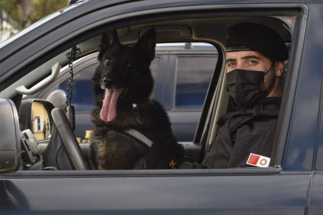 Se retiró Buster: el perro de la FPA que participó en 344 operativos antidrogas con una efectividad del 100%