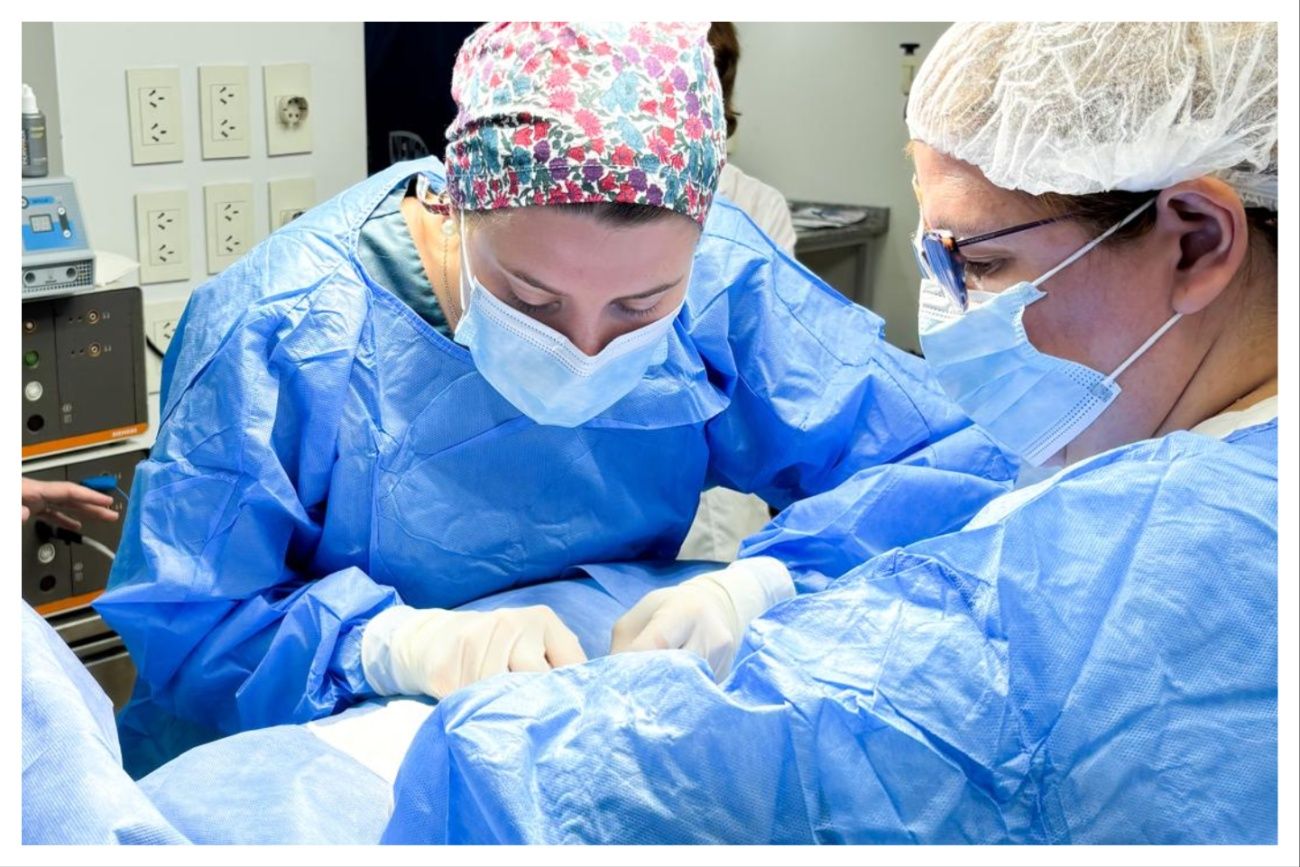 Amnova Biotech desarrolla un gel bioactivo inyectable para reparar el corazón después de un infarto.