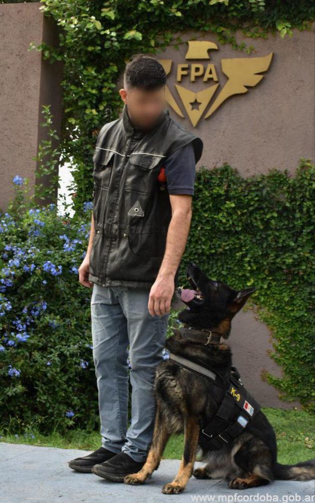 Se retiró Buster: el perro de la FPA que participó en 344 operativos antidrogas con una efectividad del 100%