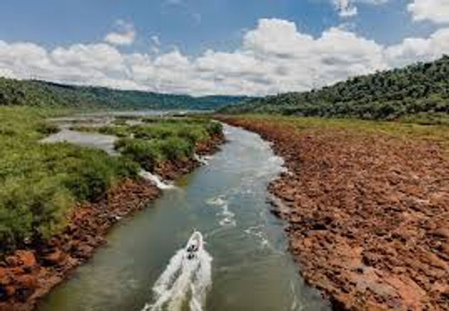 La Reserva de la Biósfera Yabotí, en la provincia de Misiones. 