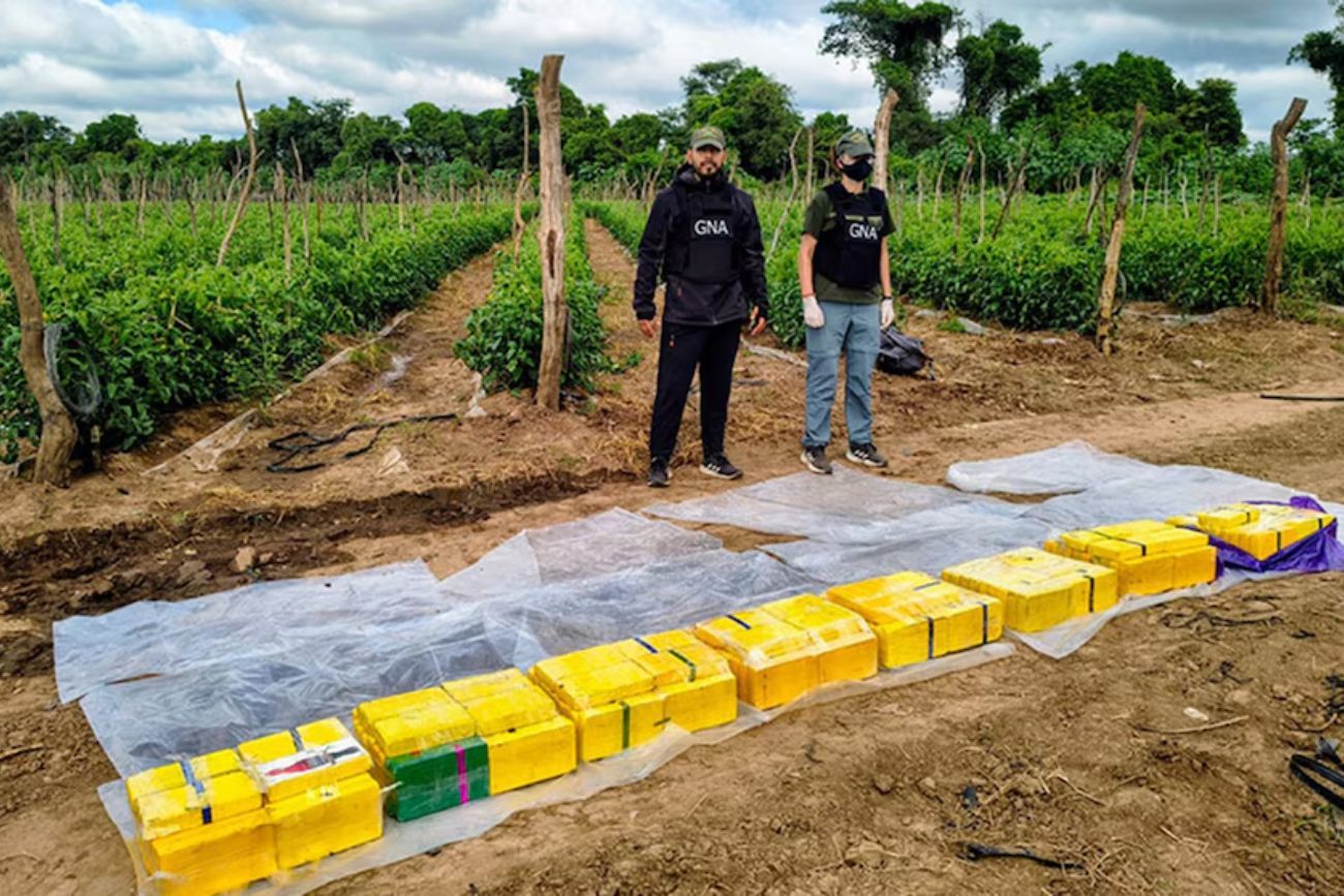 Usaban plantaciones como fachada: hallaron más de 170 kilos de cocaína enterrados en una finca de Salta.