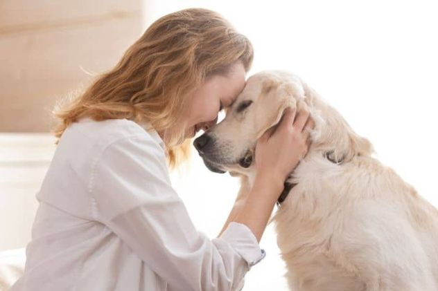 El contacto con perros no solo genera bienestar, también puede reflejar rasgos emocionales y sociales de quienes lo hacen.