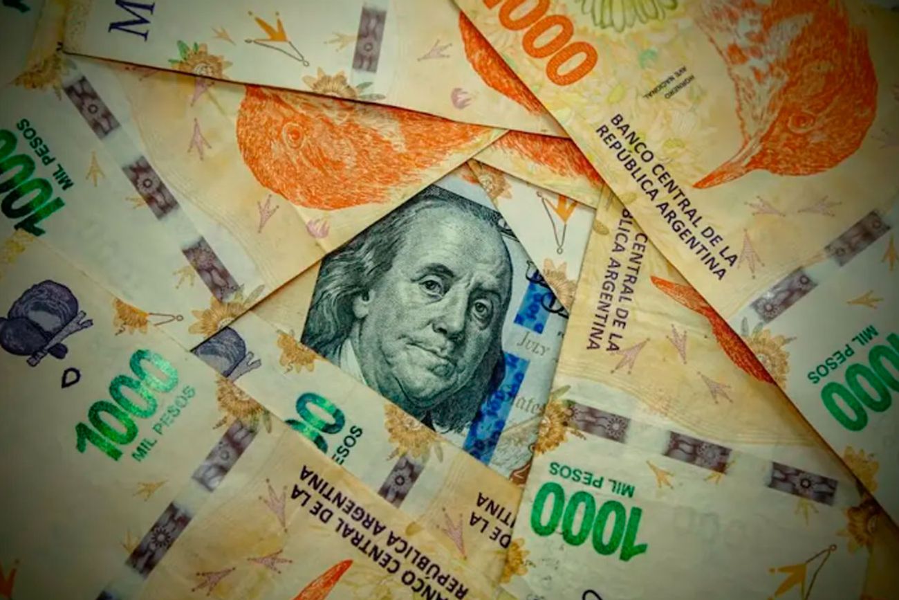 Imagen ilustrativa. (Gaby López/Pexels.com)
