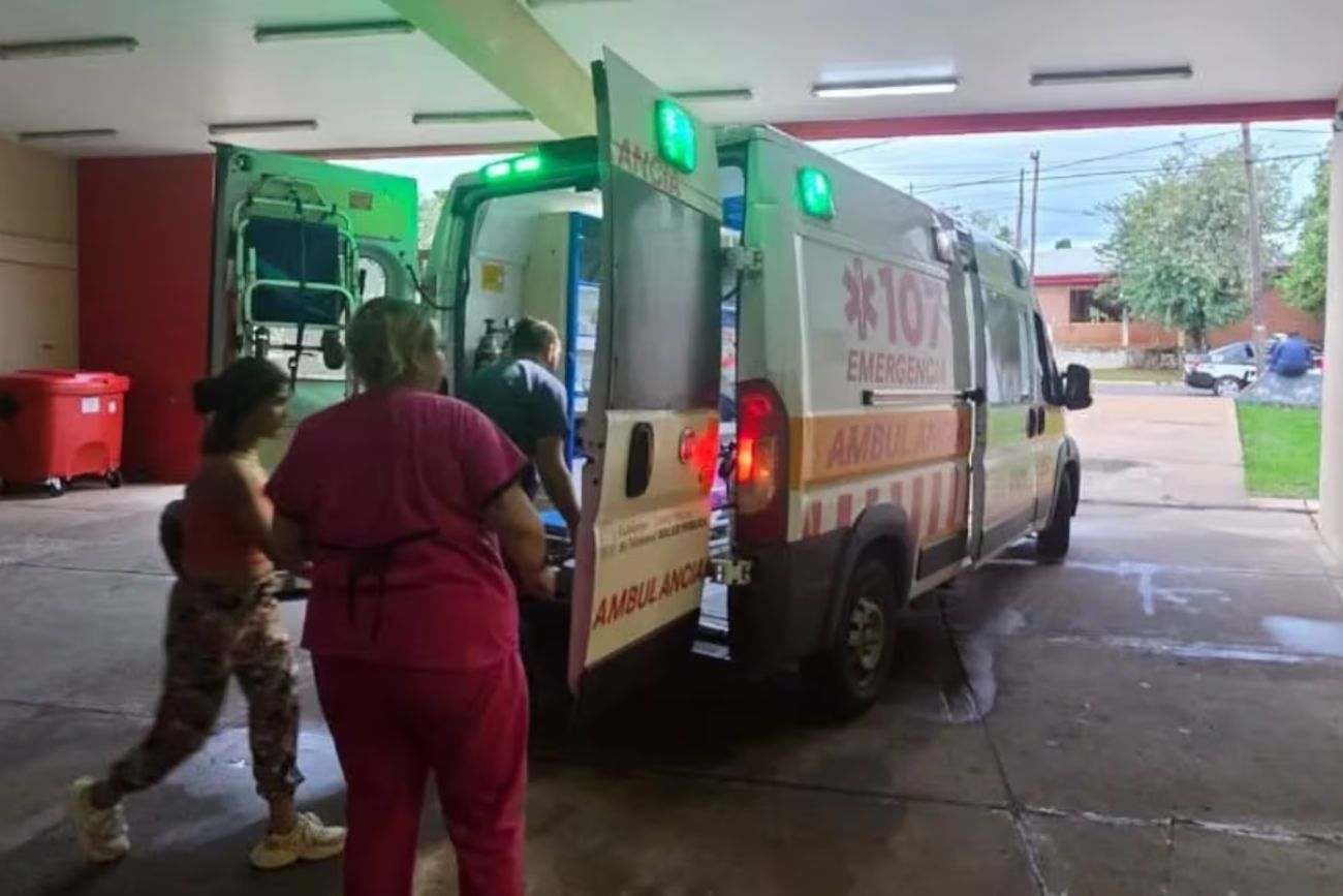 Misiones: siete perros atacaron a un nene de 7 años en el patio de su casa