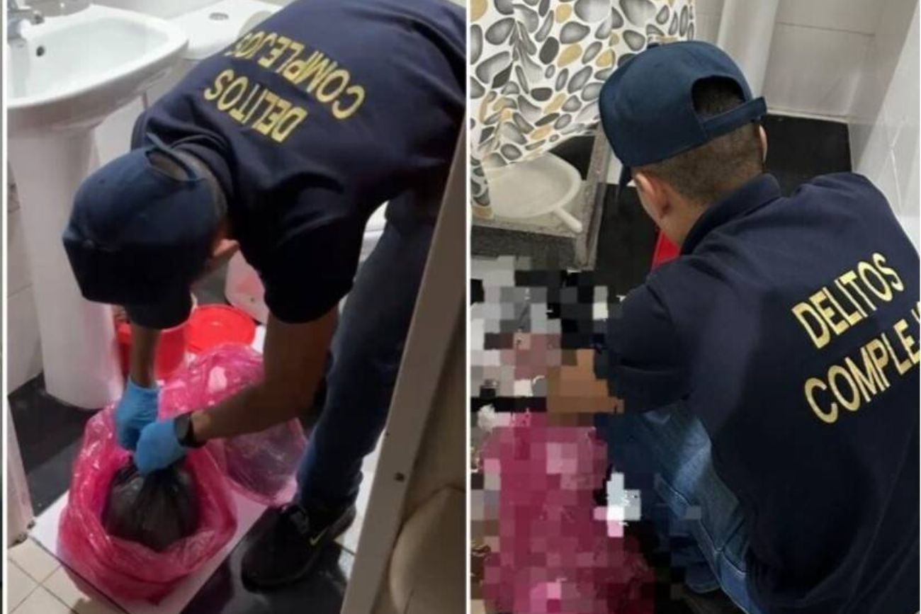 Hallazgo de ocho fetos en Villa Ballester: la Provincia hizo un operativo y detectó “infracciones menores”
