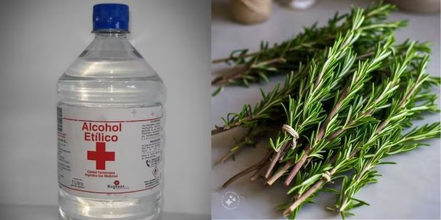 Romero con alcohol: para qué sirve y cómo prepararlo paso a paso.
