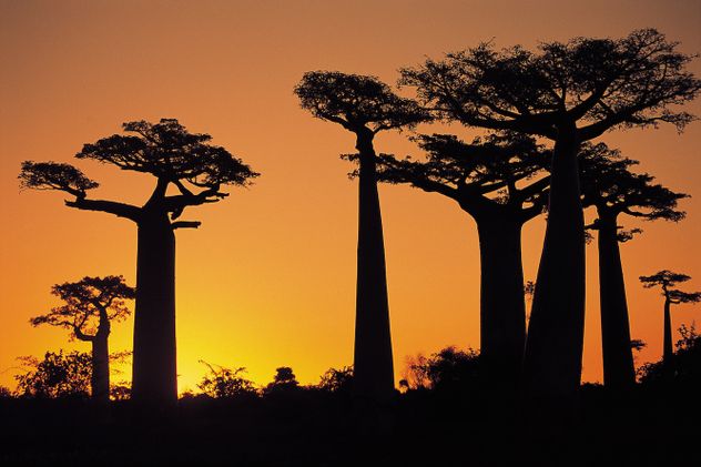 Madagascar