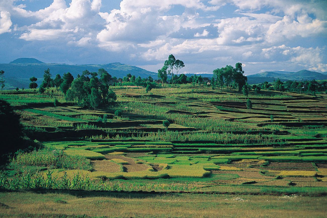 Madagascar